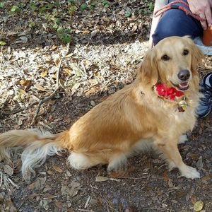 Meet your Posher, Alice